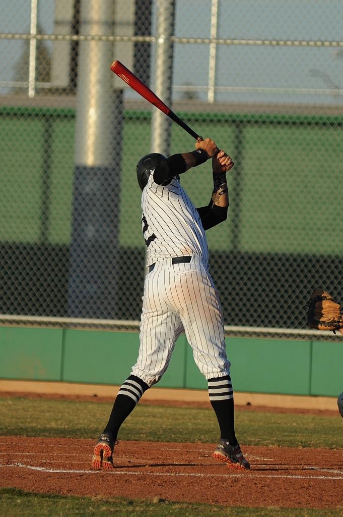 Seals_2019-08-23 (353).JPG - (c)2010 DeVetter